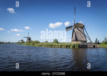 Splendido mulino a vento olandese paesaggio a Kinderdijk nei Paesi Bassi un cielo blu giorno di estate Foto Stock