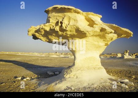 Roccia nel deserto bianco, funghi porcini, formazione di funghi, Egitto, Africa Foto Stock