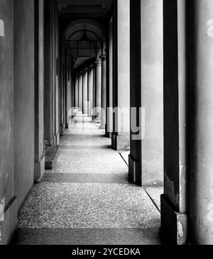 Portico, pedonale riparato, a Bologna con i suoi quasi 40 chilometri di portici. Bologna è una città unica al mondo Foto Stock