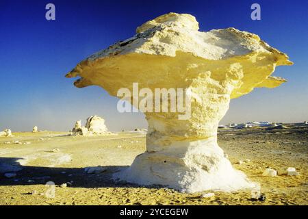 Roccia nel deserto bianco, funghi porcini, formazione di funghi, Egitto, Africa Foto Stock