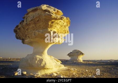 Roccia nel deserto bianco, funghi porcini, formazione di funghi, Egitto, Africa Foto Stock