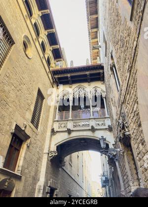 Ponte dei vescovi nel quartiere gotico di Barcellona, Catalogna, Spagna. grafico Foto Stock