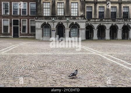 L'Aia, Paesi Bassi, 7 agosto 2016: Corte interna di Binnenhof. Si tratta di un complesso di edifici nel centro della città di l'Aia. Include l'ufficio del Foto Stock