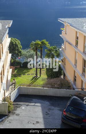 Splendido giardino con palme e sedie da giardino tra 2 condomini sulla costa di Lugano (in periferia) Foto Stock