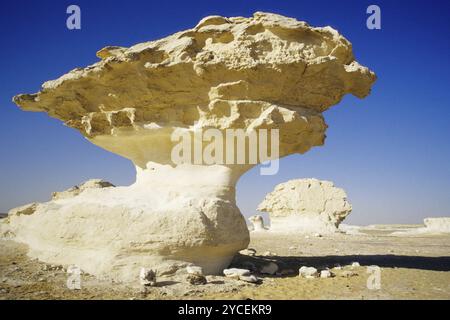 Roccia nel deserto bianco, funghi porcini, formazione di funghi, Egitto, Africa Foto Stock