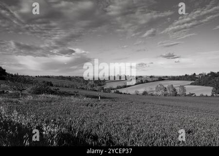 Paesaggi e colori della fioritura primaverile dell'Appennino Emilia-Romagna, province di Bologna e Ravenna, Emilia Romagna, Italia Foto Stock