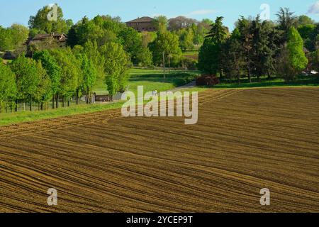 Paesaggi e colori della fioritura primaverile dell'Appennino Emilia-Romagna, province di Bologna e Ravenna, Emilia Romagna, Italia Foto Stock