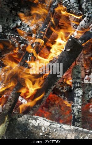 Ciò che rimane dopo che gli effetti di una combustione di legna, ceneri di masterizzazione Foto Stock