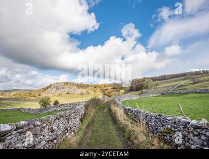 Splendido paesaggio delle valli dello Yorkshire con un'ex cava (sotto Winskill) che viene recuperata dalla natura. Foto Stock