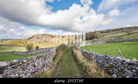 Splendido paesaggio delle valli dello Yorkshire con un'ex cava (sotto Winskill) che viene recuperata dalla natura. Foto Stock