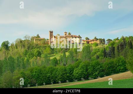 Paesaggi e colori della fioritura primaverile dell'Appennino Emilia-Romagna, province di Bologna e Ravenna, Emilia Romagna, Italia Foto Stock