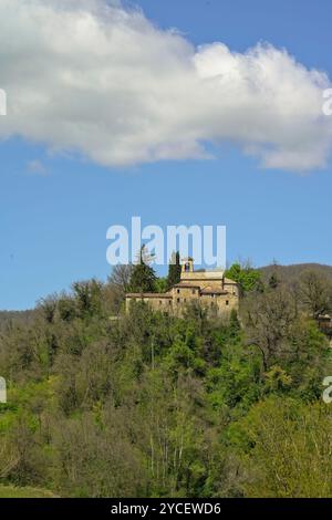 Paesaggi e colori della fioritura primaverile dell'Appennino Emilia-Romagna, province di Bologna e Ravenna, Emilia Romagna, Italia Foto Stock