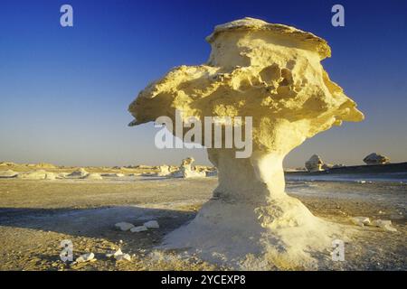 Roccia nel deserto bianco, funghi porcini, formazione di funghi, Egitto, Africa Foto Stock