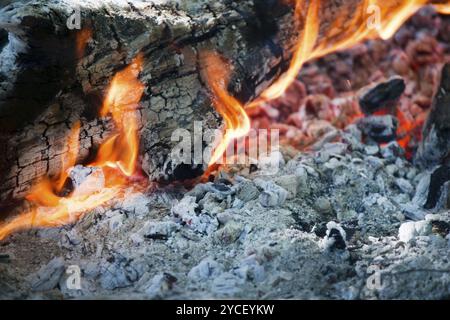 Ciò che rimane dopo che gli effetti di una combustione di legna, ceneri di masterizzazione Foto Stock