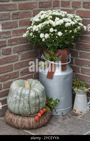 Decorazione autunnale con grande zucca e vaso di fiori su una robusta brocca, Borken, Muensterland, Germania, Europa Foto Stock