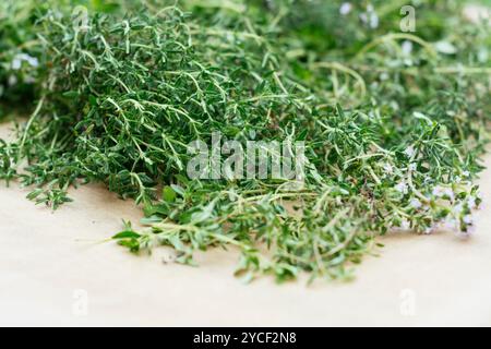 Timo raccolto da un giardino di erbe che si stende su un foglio di carta per asciugarsi. Foto Stock