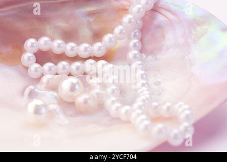 Macro di perle e collana in un guscio di ostriche. Immagine di colore rosa Foto Stock