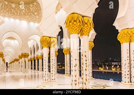 Colonne decorate, colonnato, Moschea Sheikh Zayed, illuminazione serale, grande Moschea, Abu Dhabi, Emirati Arabi Uniti, Asia Foto Stock