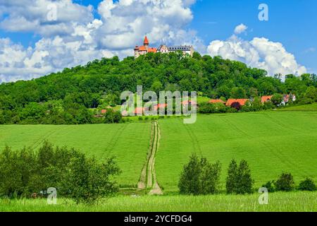 Germania, Turingia, la veste Heldburg era un alto castello medievale in cima alla collina che fu ricostruito come castello in stile rinascimentale nel XVI secolo; la veste è sede del Museo tedesco del castello, aperto nel settembre 2016 Foto Stock