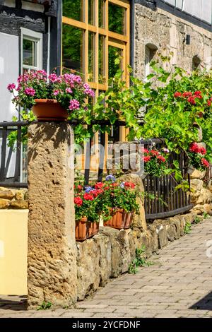 Germania, Baden-Württemberg, Dettingen an der Erms, decorazione floreale su una casa in legno a Metzinger Straße. Foto Stock