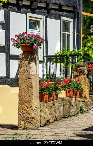 Germania, Baden-Württemberg, Dettingen an der Erms, decorazione floreale su una casa in legno a Metzinger Straße. Foto Stock