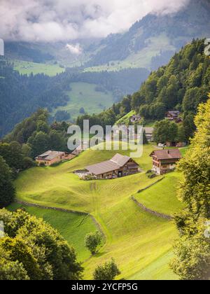 Pascolo alpino a Engelberg Foto Stock