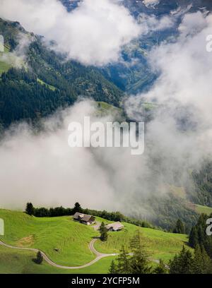 La nebbia in montagna Foto Stock