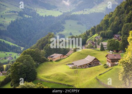 Pascolo alpino a Engelberg Foto Stock