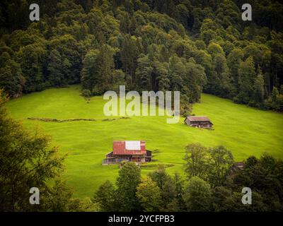 Pascolo alpino a Obwalden Foto Stock