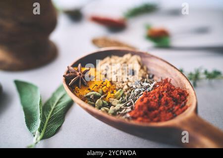 Spezie, ingredienti e varietà di erbe con cucchiaio di legno sul bancone della cucina per cucinare e preparare i pasti. Utensili, condimenti e condimenti biologici Foto Stock