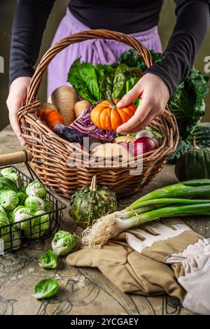 Verdure assortite autunnali e invernali in un cesto, raccolta Foto Stock