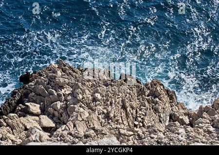 Wild mare e rocce Foto Stock