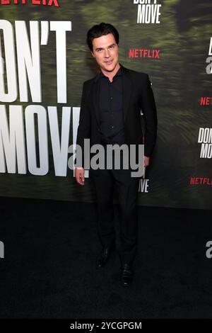 Los Angeles, California, 22 ottobre 2024. Finn Wittrock alla proiezione speciale di Netflix LA di Don't Move al Netflix Tudum Theater di Los Angeles, California, il 22 ottobre 2024. Crediti: Faye Sadou/Media Punch/Alamy Live News Foto Stock