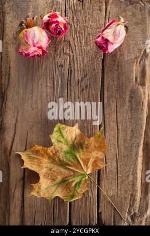 Rose secche e foglie d'acero su un vecchio fondo di legno Foto Stock