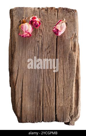 Rose rosa asciutte su una vecchia tavola di legno Foto Stock