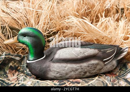 Duck Decoy con ripieno e chiamate Foto Stock