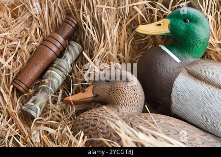 Duck Decoy con ripieno e chiamate Foto Stock