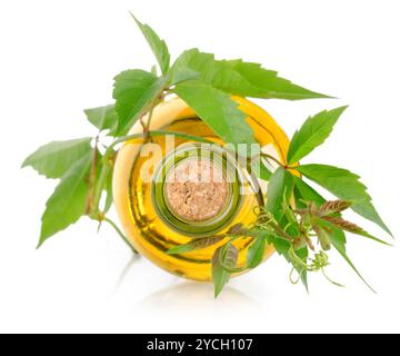 Vino bianco e di vino isolato Foto Stock
