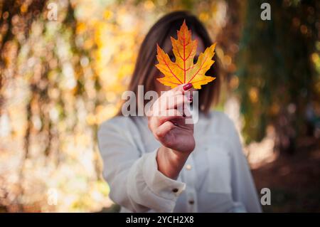 L'abbraccio dell'autunno: Uno sguardo alla tavolozza della natura attraverso una foglia d'acero. Foto Stock