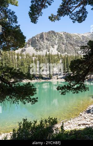 Vista del lago Teresa, percorribile sul sentiero del lago alpino nel Parco Nazionale del Gran bacino. Foto Stock