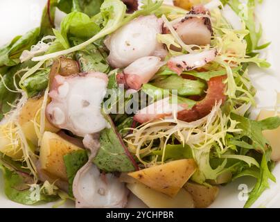 Primo piano di insalata di verdure e polpo sul piatto Foto Stock