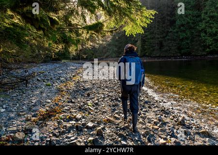 Una guida naturalista cammina lungo un fiume che porta salmoni attraverso alberi lussureggianti sulla costa della Columbia Britannica, Canada, nella Great Bear Rainforest. Foto Stock