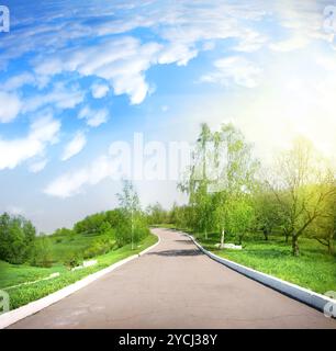 Strada lastricata in un parco verde Foto Stock