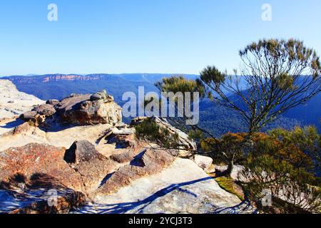 La vista verso ovest da Flat Rock, Kings Tableland si estende dall'altra parte della Jamison Valley fino alle lontane pareti di Narrow Neck, un lungo saliente che si estende più a sud Foto Stock