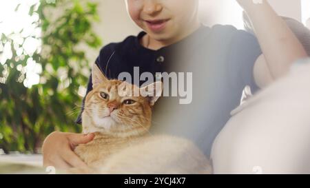 Un bambino e un gatto si godono un momento di convivialità insieme nel loro ambiente domestico Foto Stock