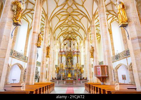 L'interno della Chiesa dell'assunzione della Vergine Maria presenta una splendida architettura tardo gotica, con dettagli intricati e decorazioni ornamentali che catturano i visitatori. Foto Stock