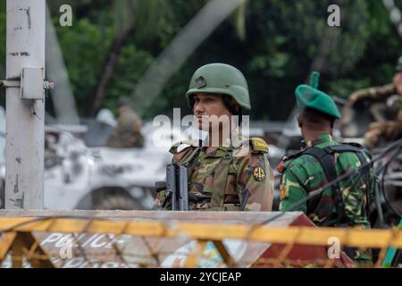 Dacca, Bangladesh. 23 ottobre 2024. Un soldato della forza militare bengalese è vigile di fronte alla casa del presidente (Bangabhaban) durante la manifestazione. Membri delle forze dell'ordine in allerta davanti a Bangabhaban. L'ingresso principale della casa del presidente (Bangabhaban) mentre i manifestanti organizzano una manifestazione davanti ad essa, chiedendo le dimissioni del presidente Mohammed Shahabuddin dopo il suo commento sulle dimissioni dell'ex primo ministro Sheikh Hasina, a Dhaka, Bangladesh. (Foto di Sazzad Hossain/SOPA Images/Sipa USA) credito: SIPA USA/Alamy Live News Foto Stock