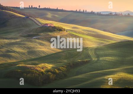 Rovina sulle dolci colline delle Crete Senesi al tramonto. Paesaggio primaverile a Monte Sante Marie, provincia di Siena, regione Toscana, Italia Foto Stock