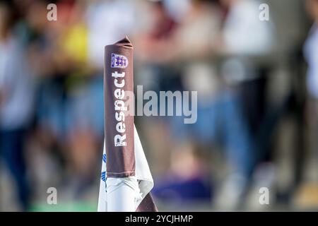 Rispetto e distintivo dei leoni fa 3 sulla bandiera d'angolo del campionato. Credito John Rose/Alamy Foto Stock