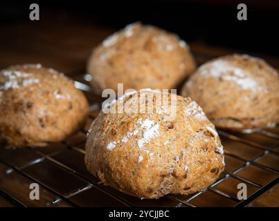 Quattro classici panini di pane di campagna su una griglia. Queste palline di pasta madre rustica fatte in casa sono realizzate con farina integrale integrale biologica Foto Stock